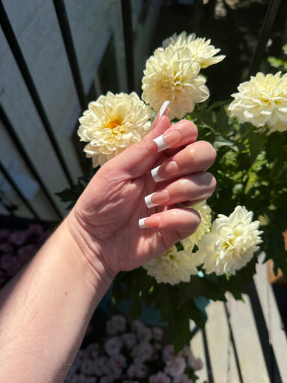 Classic French Set